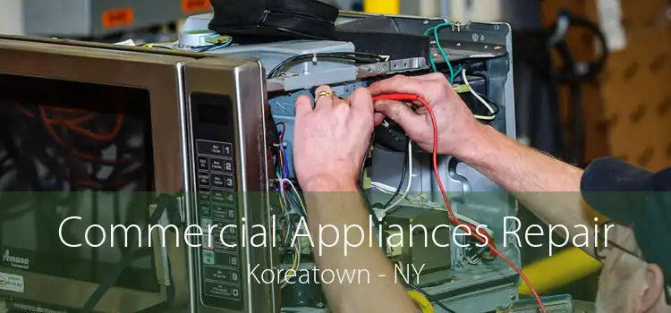 Commercial Appliances Repair Koreatown - NY