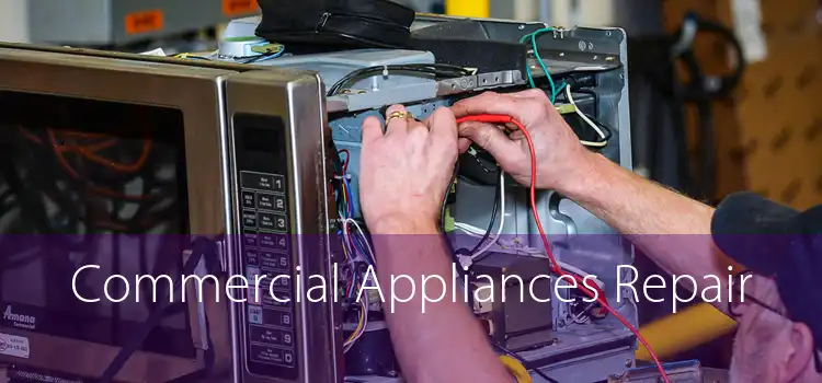 Commercial Appliances Repair 