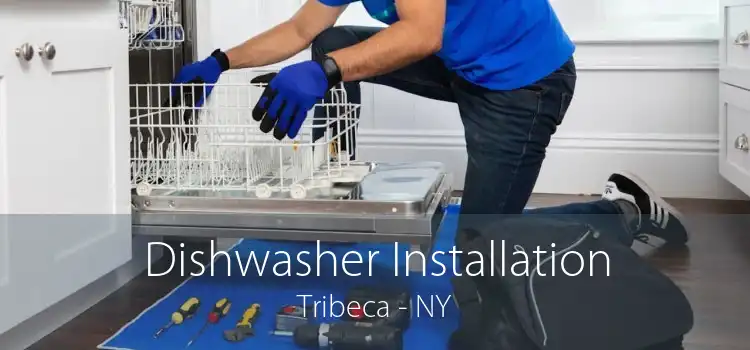 Dishwasher Installation Tribeca - NY