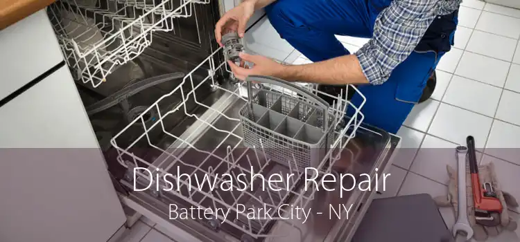 Dishwasher Repair Battery Park City - NY