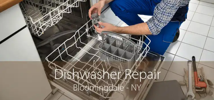 Dishwasher Repair Bloomingdale - NY