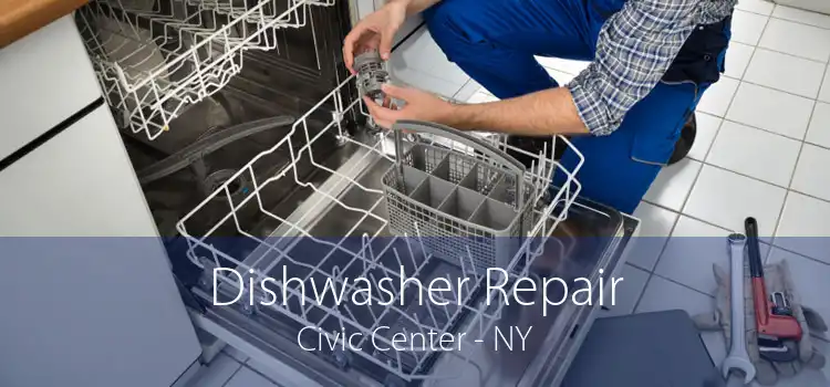 Dishwasher Repair Civic Center - NY