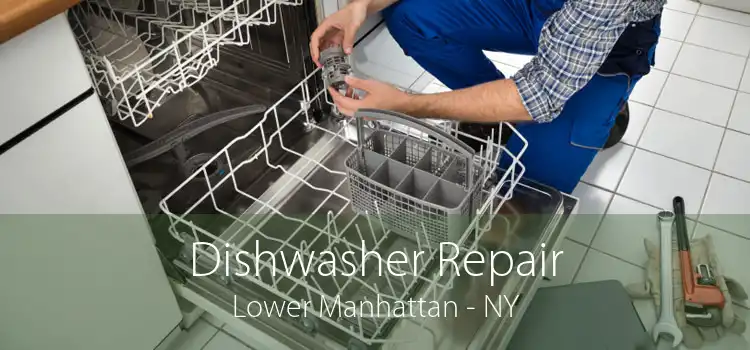 Dishwasher Repair Lower Manhattan - NY