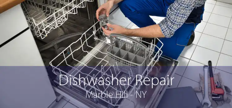 Dishwasher Repair Marble Hill - NY