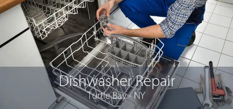 Dishwasher Repair Turtle Bay - NY