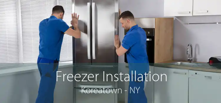 Freezer Installation Koreatown - NY