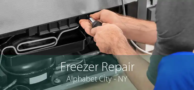 Freezer Repair Alphabet City - NY