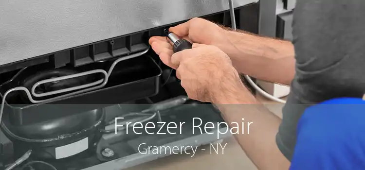 Freezer Repair Gramercy - NY