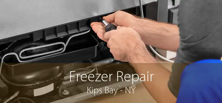 Freezer Repair Kips Bay - NY