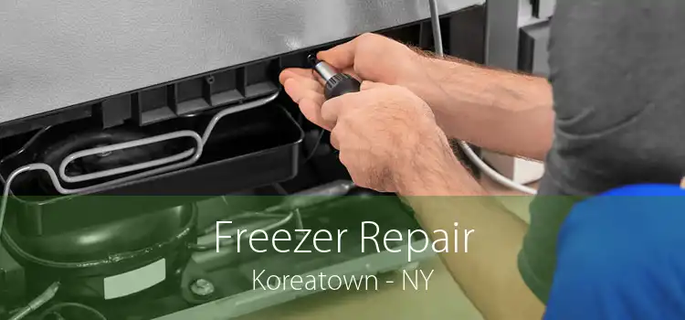 Freezer Repair Koreatown - NY