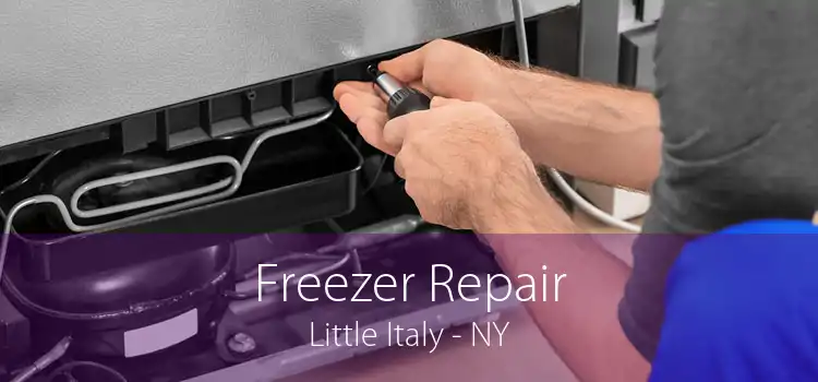 Freezer Repair Little Italy - NY