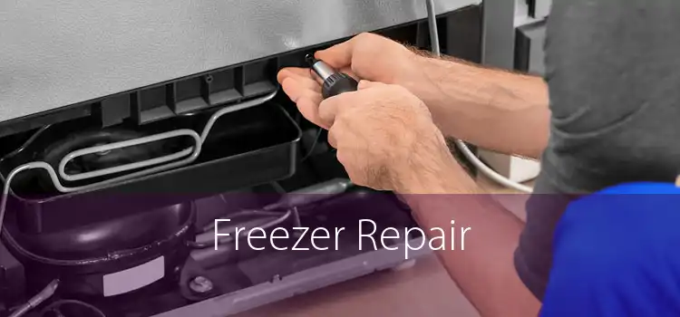 Freezer Repair 