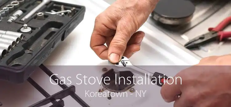 Gas Stove Installation Koreatown - NY