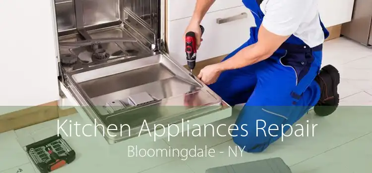 Kitchen Appliances Repair Bloomingdale - NY