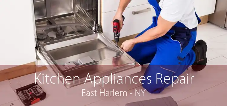 Kitchen Appliances Repair East Harlem - NY