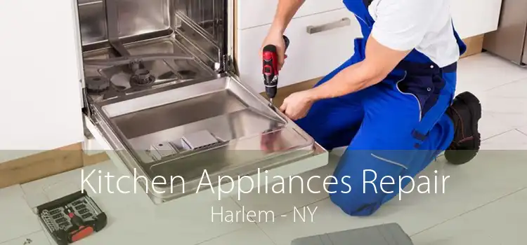 Kitchen Appliances Repair Harlem - NY