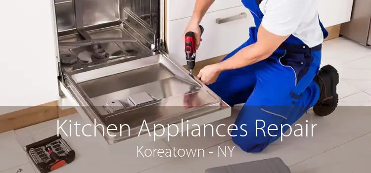 Kitchen Appliances Repair Koreatown - NY