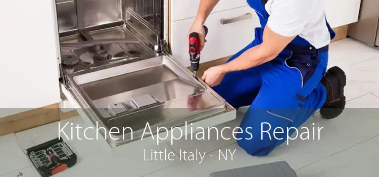 Kitchen Appliances Repair Little Italy - NY