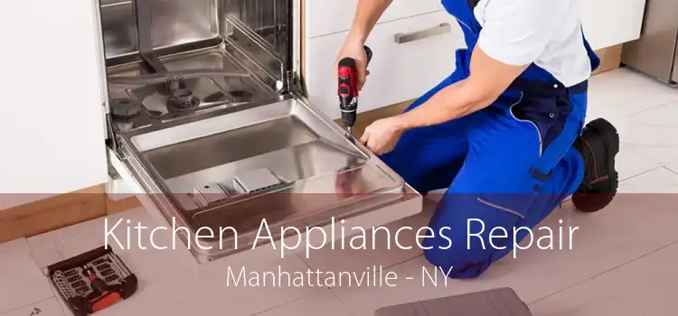 Kitchen Appliances Repair Manhattanville - NY