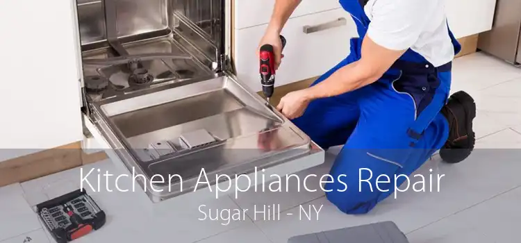 Kitchen Appliances Repair Sugar Hill - NY