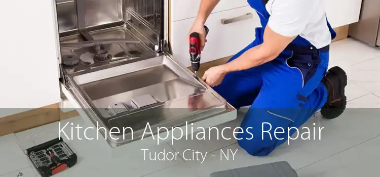 Kitchen Appliances Repair Tudor City - NY