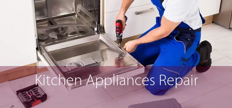 Kitchen Appliances Repair 