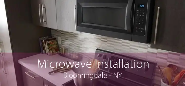 Microwave Installation Bloomingdale - NY