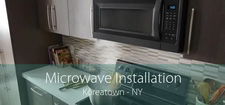 Microwave Installation Koreatown - NY