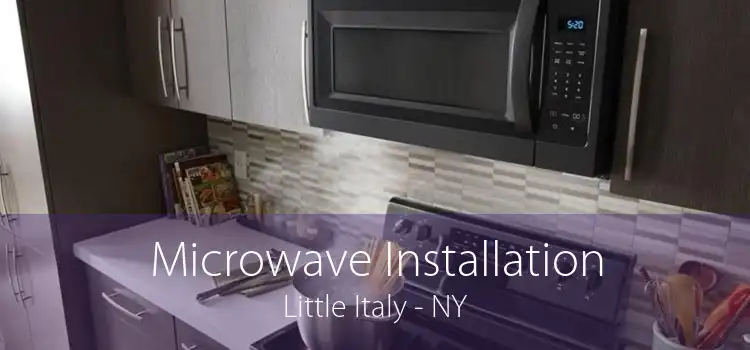 Microwave Installation Little Italy - NY