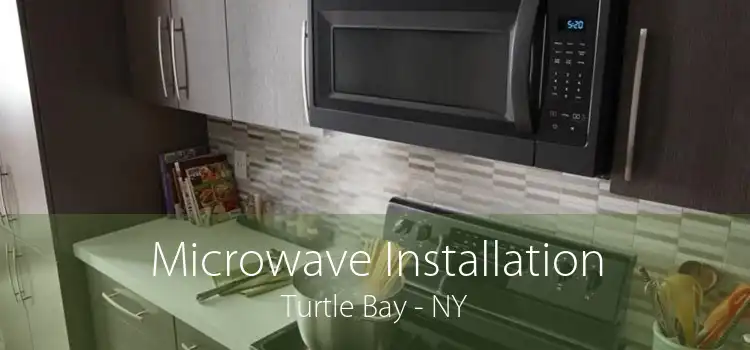 Microwave Installation Turtle Bay - NY