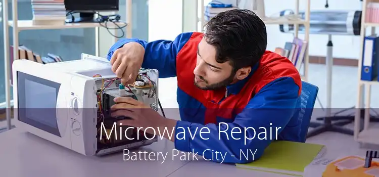 Microwave Repair Battery Park City - NY