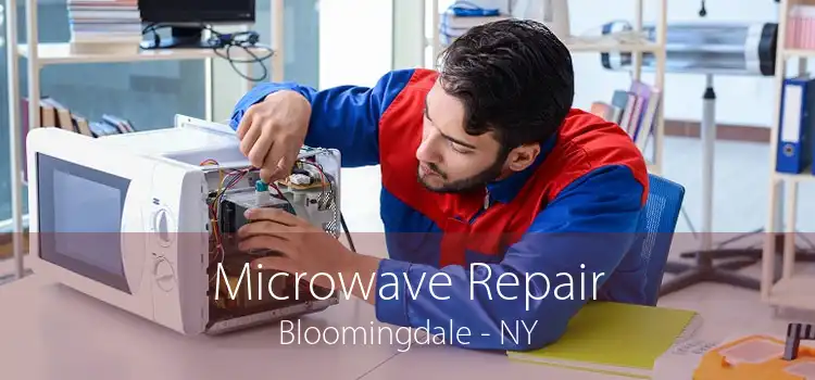 Microwave Repair Bloomingdale - NY