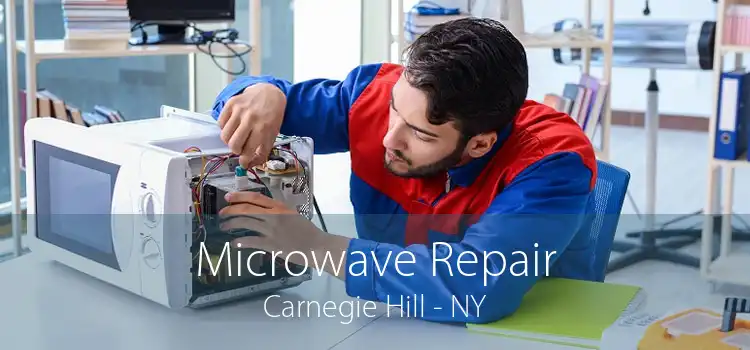 Microwave Repair Carnegie Hill - NY