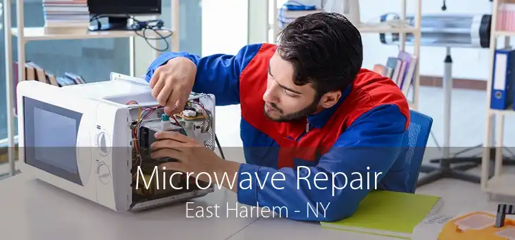 Microwave Repair East Harlem - NY