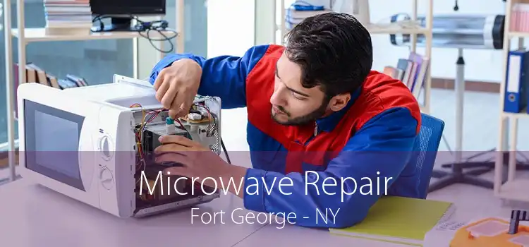 Microwave Repair Fort George - NY