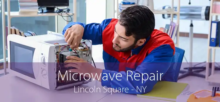 Microwave Repair Lincoln Square - NY