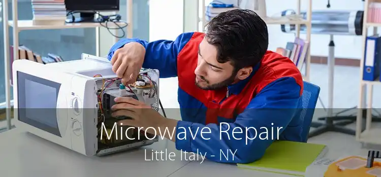 Microwave Repair Little Italy - NY