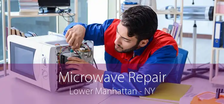 Microwave Repair Lower Manhattan - NY