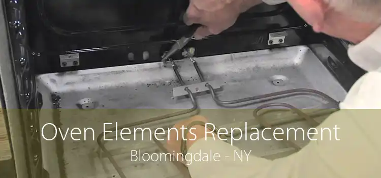 Oven Elements Replacement Bloomingdale - NY