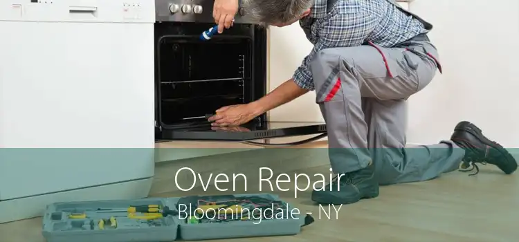 Oven Repair Bloomingdale - NY