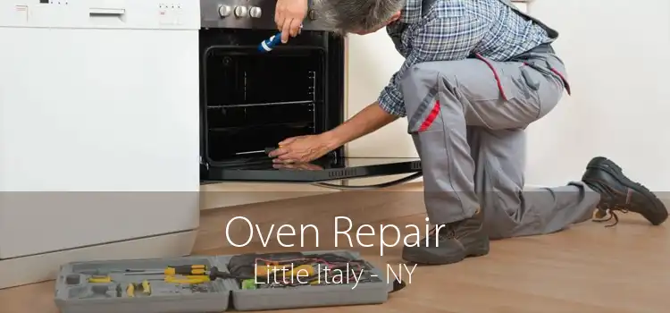 Oven Repair Little Italy - NY