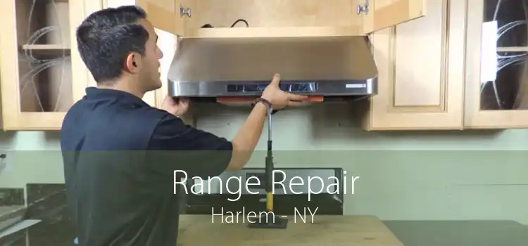 Range Repair Harlem - NY