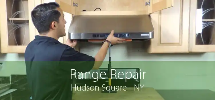 Range Repair Hudson Square - NY