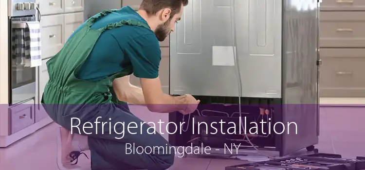 Refrigerator Installation Bloomingdale - NY