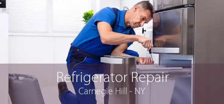 Refrigerator Repair Carnegie Hill - NY