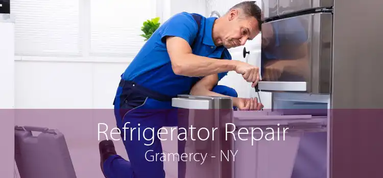 Refrigerator Repair Gramercy - NY