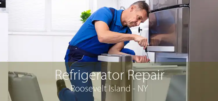 Refrigerator Repair Roosevelt Island - NY