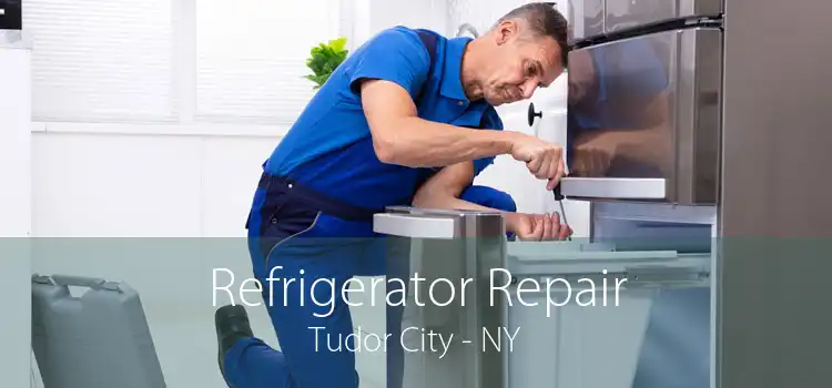 Refrigerator Repair Tudor City - NY