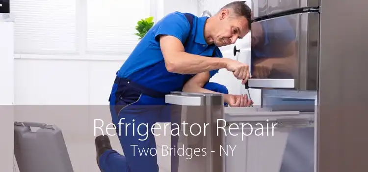 Refrigerator Repair Two Bridges - NY