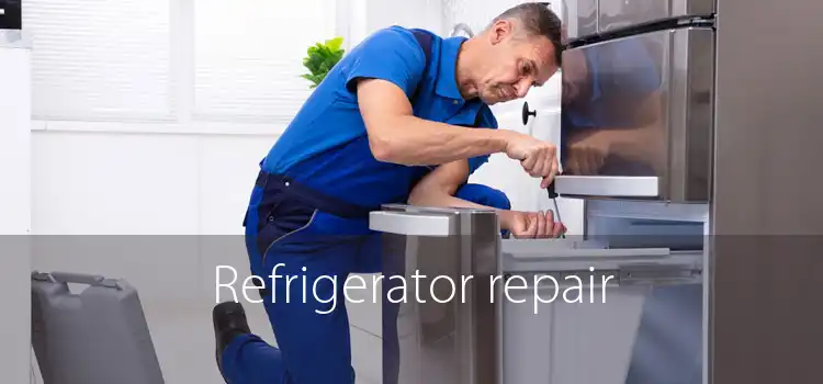 Refrigerator repair 